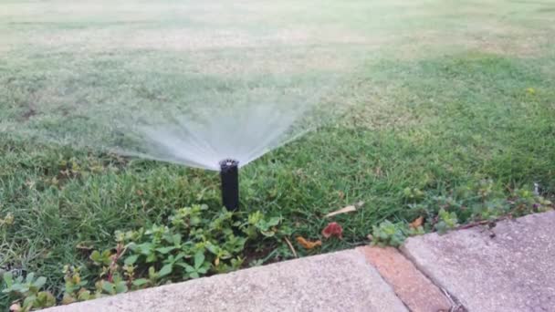 Automatische Sprinkleranlage Zur Bewässerung Des Grünen Rasens — Stockvideo