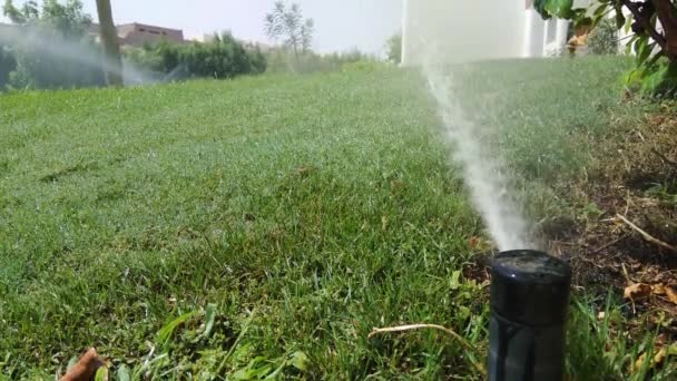 Automatische sprinklerinstallatie drenken groen gras gazon — Stockvideo