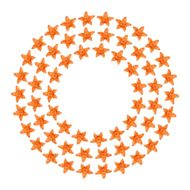 Turuncu physalis arka plan, çerçeve ve sınır, kopya alanı fotoğraf.