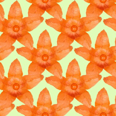 Turuncu physalis çiçek Dikişsiz desen arka kapatmak.