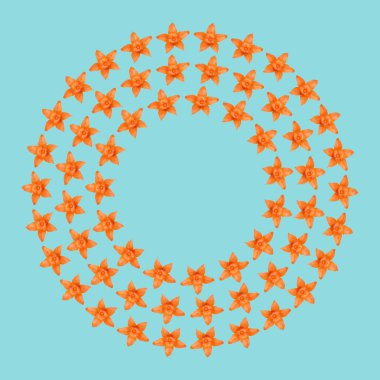 Turuncu physalis arka plan, çerçeve ve sınır, kopya alanı fotoğraf.