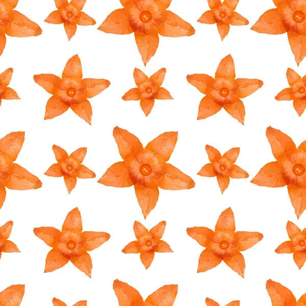 Εσωτερικη Πάπρικα Πορτοκαλί Λουλούδι Απρόσκοπτη Μοτίβο Φόντου — Φωτογραφία Αρχείου