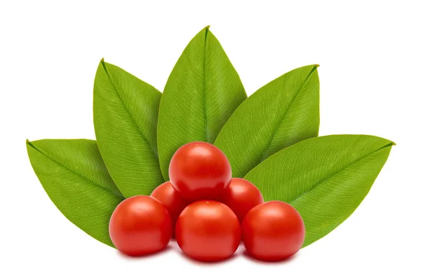 Arka Planda Yeşil Yaprakların Taze Organik Kırmızı Domates Beyaz Izole — Stok fotoğraf