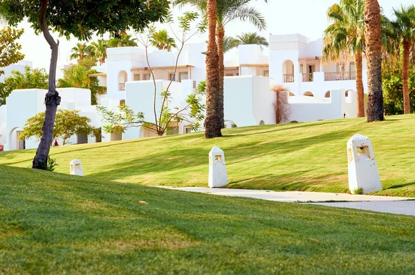 Edificios Blancos Sobre Fondo Hierba Verde Palmeras — Foto de Stock