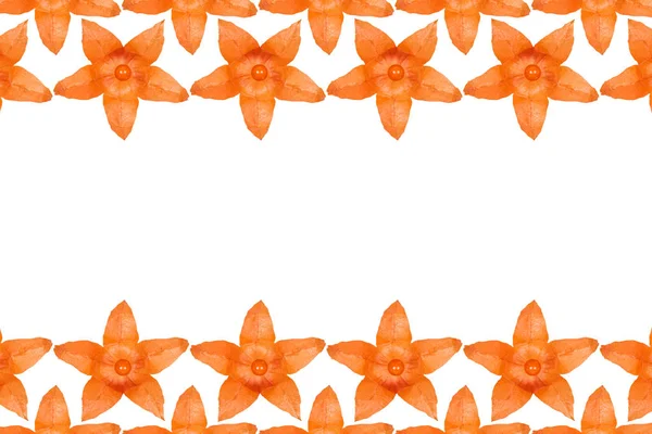 Orangefarbener Physalis Hintergrund Flache Lage Mit Kopierraum — Stockfoto