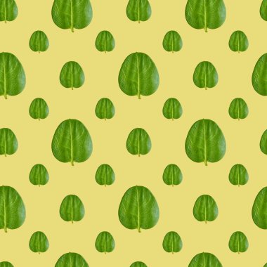 Yeşil yaprakları Dikişsiz desen arka planı kapat.