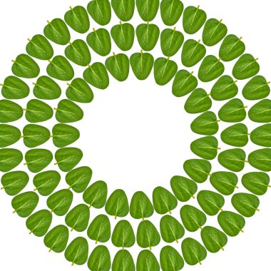 Yeşil yaprakları arka plan, çerçeve ve sınır, kopya alanı fotoğraf.