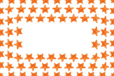 Turuncu physalis arka plan, çerçeve ve sınır, kopya alanı fotoğraf.