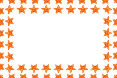 Turuncu physalis arka plan, çerçeve ve sınır, kopya alanı fotoğraf.