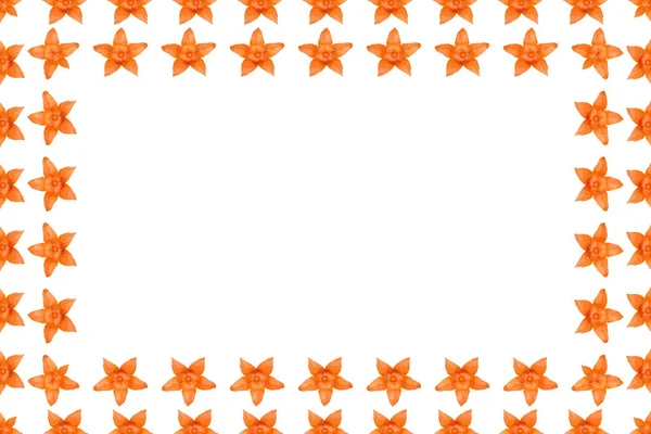 Фон Рамка Окантовка Апельсинового Физалия Фотография Космоса — стоковое фото