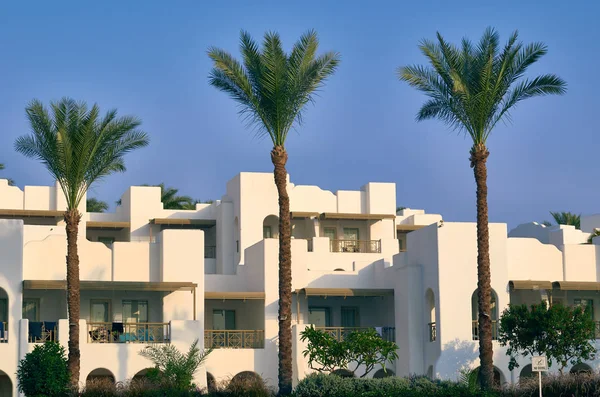 Edificio Blanco Con Palmeras Verdes Cielo Azul — Foto de Stock