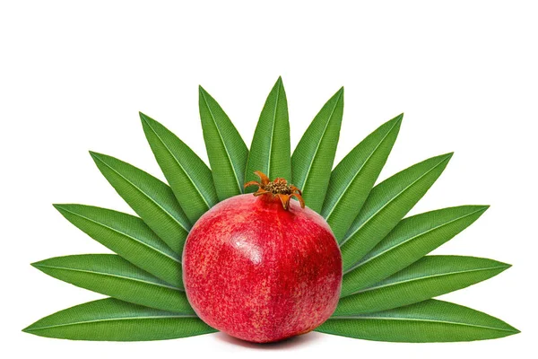 Frischer Granatapfel Auf Dem Hintergrund Grüner Blätter Isoliert Auf Weiß — Stockfoto