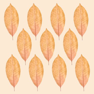 Sarı sonbahar yaprak desen arka plan fotoğraf yakın çekim.