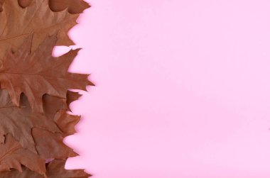 Kompozisyon bırakır. Doğa kavramı arka plan. Düz lay ve üst fotoğrafı görmek.