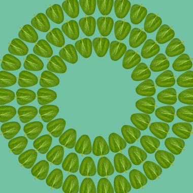 Yeşil yaprakları arka plan, çerçeve ve sınır, kopya alanı fotoğraf.