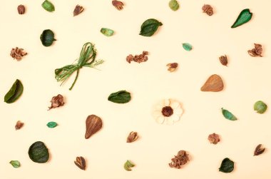 Kompozisyon bırakır. Doğa kavramı arka plan. Düz lay ve üst fotoğrafı görmek