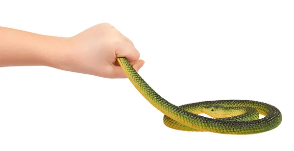 Kids Hand Fake Green Snake Rubber Animal Toy Isolated White — Stock Photo, Image