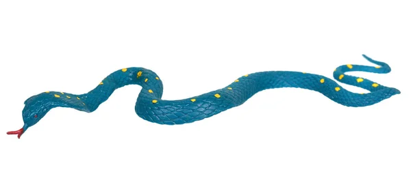 Hamis Kígyó Játék Gumi Állat Játékhoz Fehér Alapon Elszigetelve — Stock Fotó
