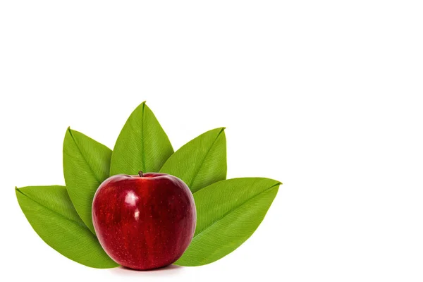 Свежее красное яблоко на фоне зеленых листьев. Изолирован на белом. понятие естественного происхождения — стоковое фото