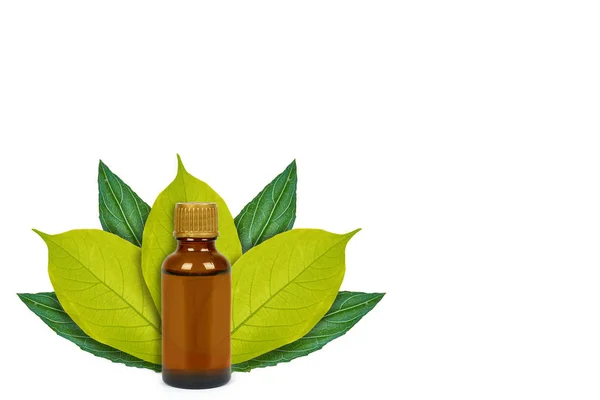 Bottiglia con medicina sullo sfondo di foglie verdi. Isolato su bianco. concetto di origine naturale — Foto Stock