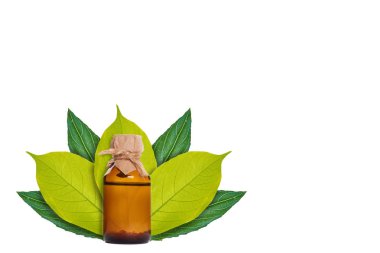 Yeşil yaprakları bir şişe ilaç arka planda ile. Beyaz izole. doğal kaynak kavramı