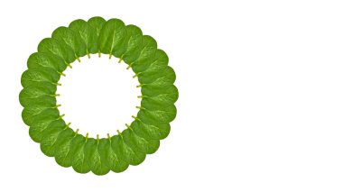 Yeşil yaprakları arka plan, çerçeve ve sınır, kopya alanı fotoğraf