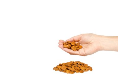 el, sağlıklı hızlı snack kavramı ile organik badem fındık