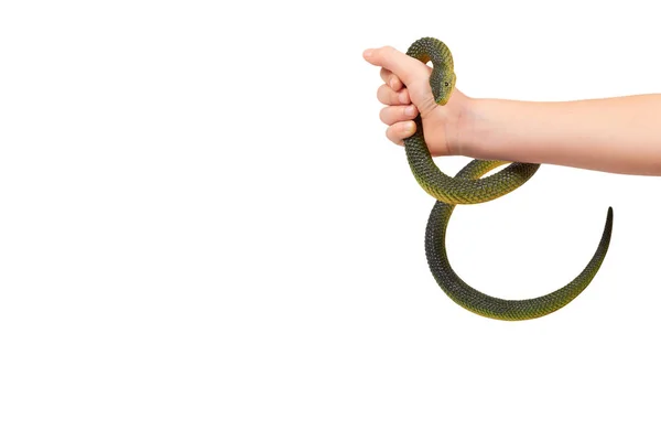 Mano dei bambini con falso serpente verde, giocattolo animale in gomma — Foto Stock