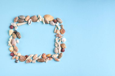 Yaz tatili kompozisyon fikri, mavi arka plan üzerinde deniz kabukları