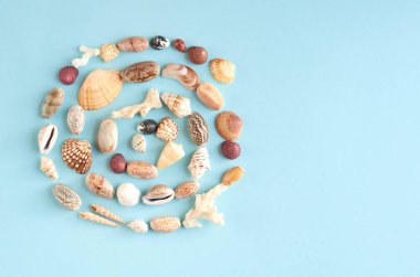 Yaz tatili kompozisyon fikri, mavi arka plan üzerinde deniz kabukları