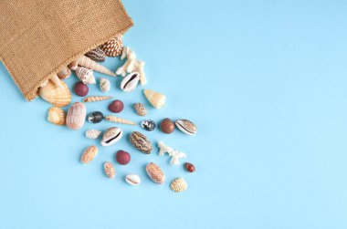 Yaz tatili kompozisyon fikri, mavi arka plan üzerinde deniz kabukları