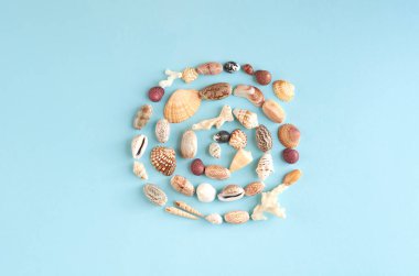 Yaz tatili kompozisyon fikri, mavi arka plan üzerinde deniz kabukları
