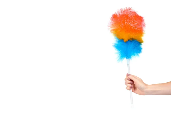Hand with soft colorful duster, synthetic feather broom, fluffy cleaner. — Stock Photo, Image