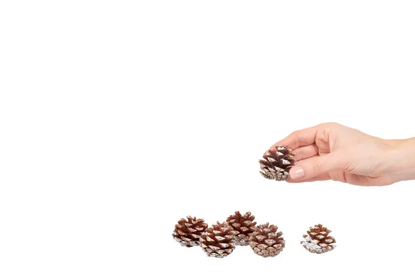 Hand with fir cones, decorations for holidays. — Stock Photo, Image