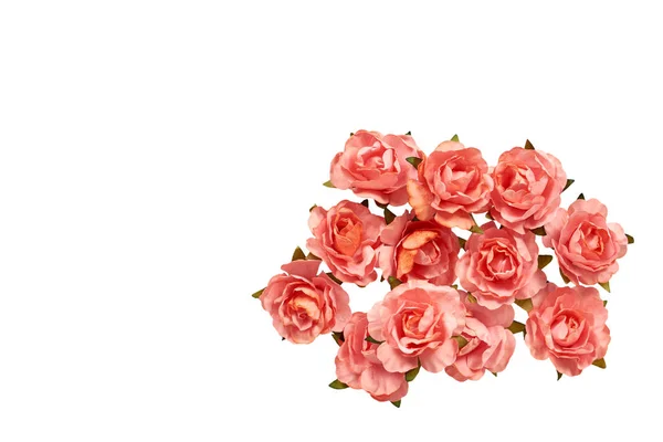 Kwitnienie, różowe kwiaty, rośliny ozdobne, romantyczny nastrój. — Zdjęcie stockowe