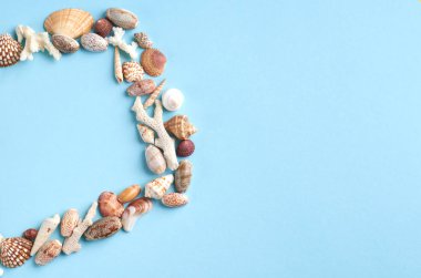 Yaz tatili kompozisyon fikri, mavi arka plan üzerinde deniz kabukları