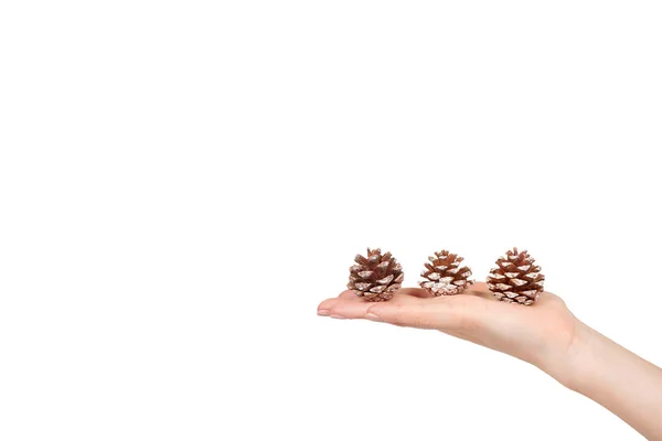 Hand with fir cones, decorations for holidays. — Stock Photo, Image