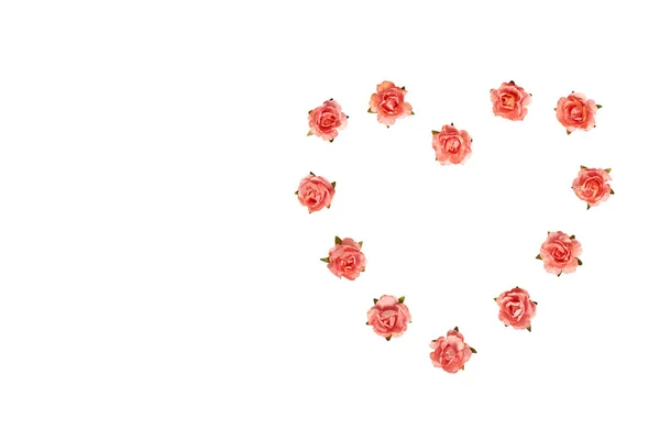 Flores rosa florescendo, planta decorativa, humor romântico . — Fotografia de Stock