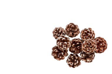 Çam kozalakları, süslemeleri tatil, Noel arka plan için.