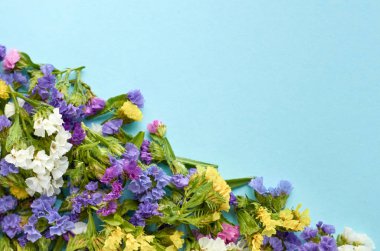 Mavi arka plan kompozisyonu üzerinde renkli çiçekler. Düz yatıyordu