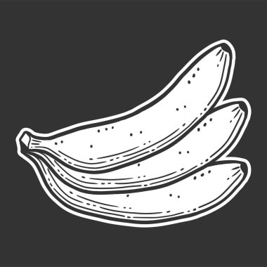 Organik tatlı muz. Doodle ve kroki tarzında vektör konsepti.