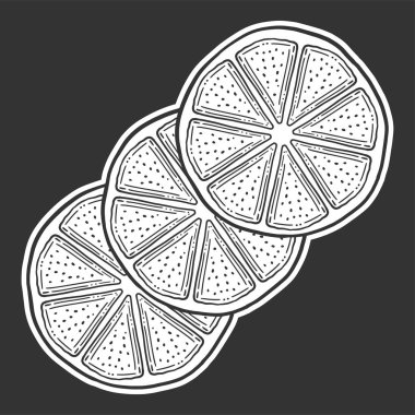 Taze limon dilimi, Portakal yarısı. Doodle ve kroki tarzında vektör.