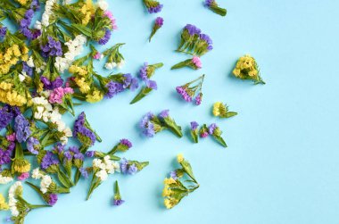 Mavi arka plan kompozisyonu üzerinde renkli çiçekler. Düz yatıyordu