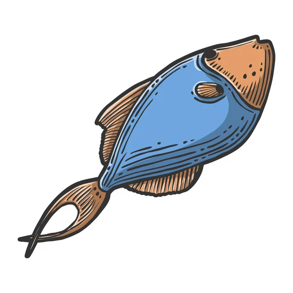 Pesce. Concetto vettoriale in stile doodle e sketch. Illustrazione disegnata a mano per la stampa su magliette, cartoline . — Vettoriale Stock