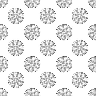 Taze limon dilimi, Portakal yarısı. Doodle ve kroki tarzında vektör.