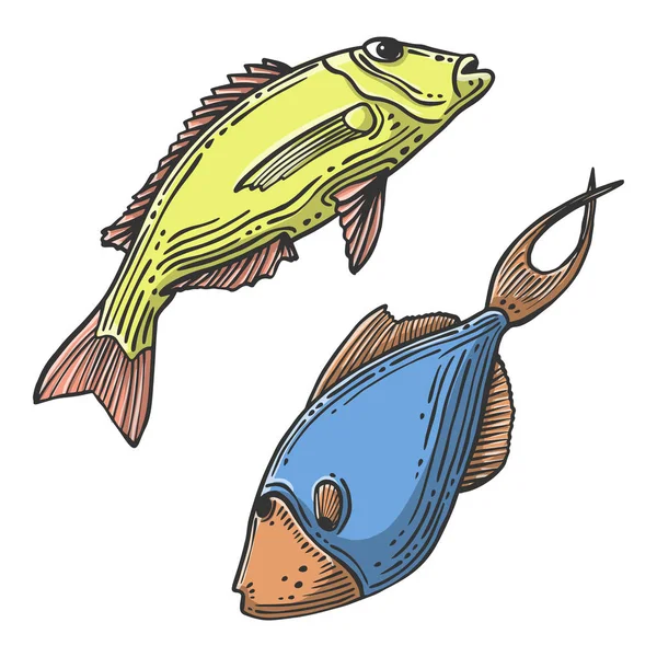 Du poisson. Concept vectoriel en style doodle et sketch. Illustration dessinée à la main pour impression sur T-shirts, cartes postales . — Image vectorielle