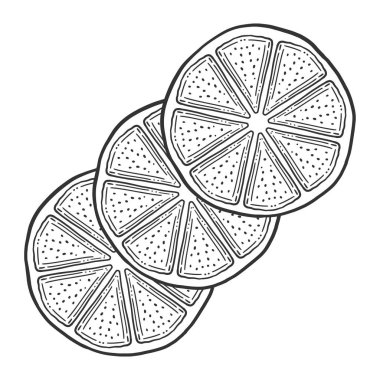 Taze limon dilimi, Portakal yarısı. Doodle ve kroki tarzında vektör.
