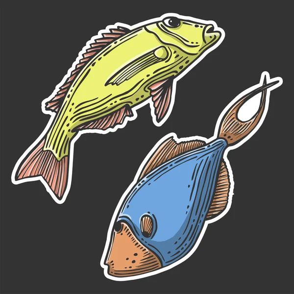 Fisk. Vektorkoncept i Doodle och skiss stil. Handritad illustration för tryckning på T-shirts, vykort. — Stock vektor