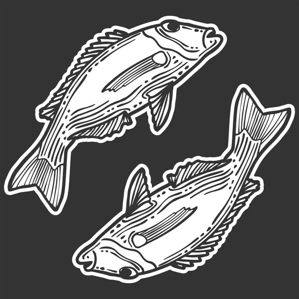 Du poisson. Concept vectoriel en style doodle et sketch. Illustration dessinée à la main pour impression sur T-shirts, cartes postales . — Image vectorielle