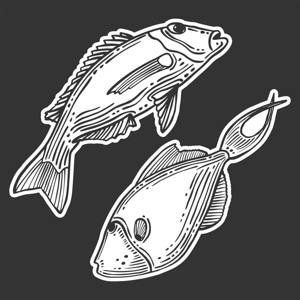 Pescado. Concepto vectorial en estilo garabato y boceto. Ilustración dibujada a mano para imprimir en camisetas, postales . — Vector de stock